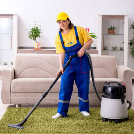 professional carpet cleaner in gold coast