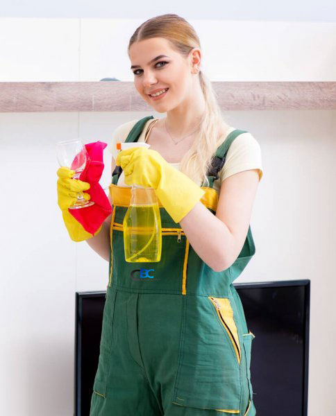 professional cleaners in gold coast