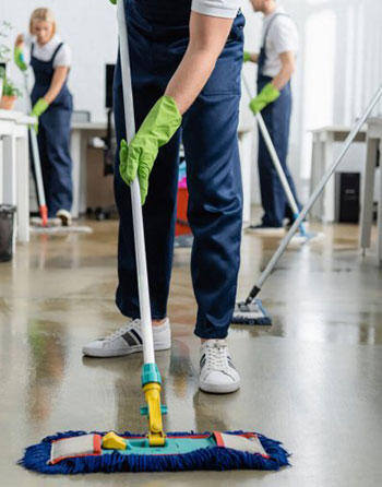 professional cleaners in robina