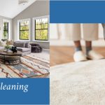 Area Rug Cleaner