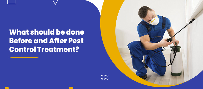 Professional Pest Control Service Provider