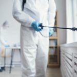 pest control services